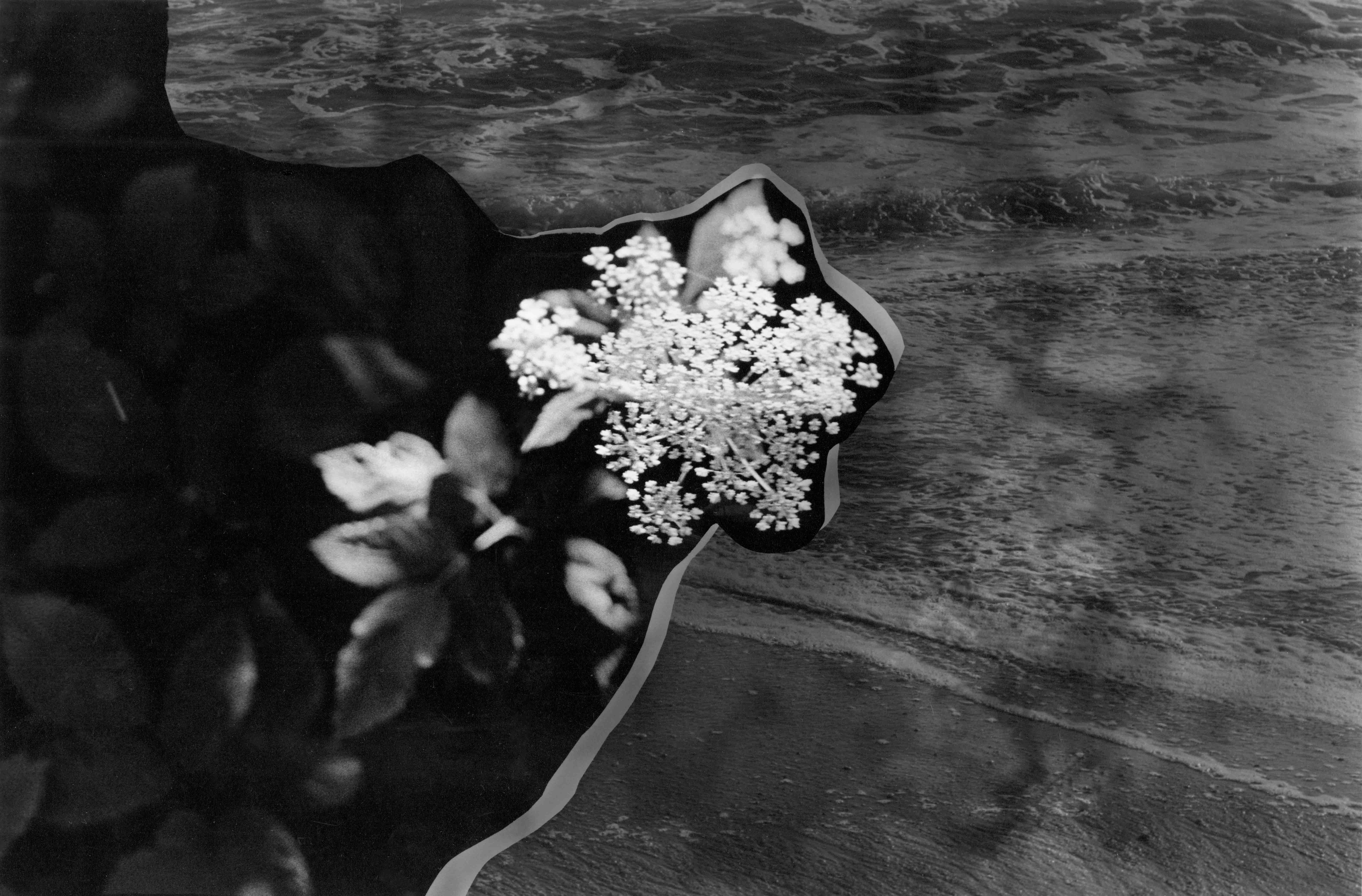 Composite Flower 2026